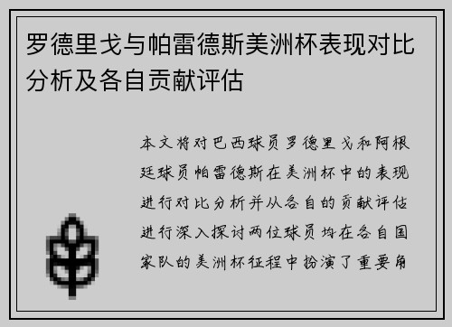 罗德里戈与帕雷德斯美洲杯表现对比分析及各自贡献评估