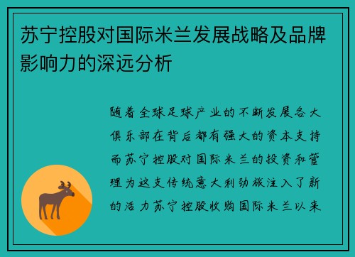苏宁控股对国际米兰发展战略及品牌影响力的深远分析 苏宁控股对国际米兰发展战略及品牌影响力的深远分析